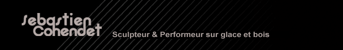 sebastien cohendet sculpteur glace et bois