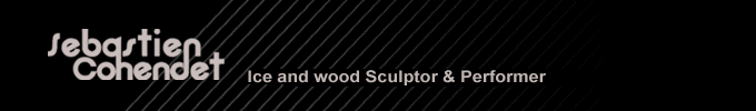 sebastien cohendet Ice and wood Sculptor